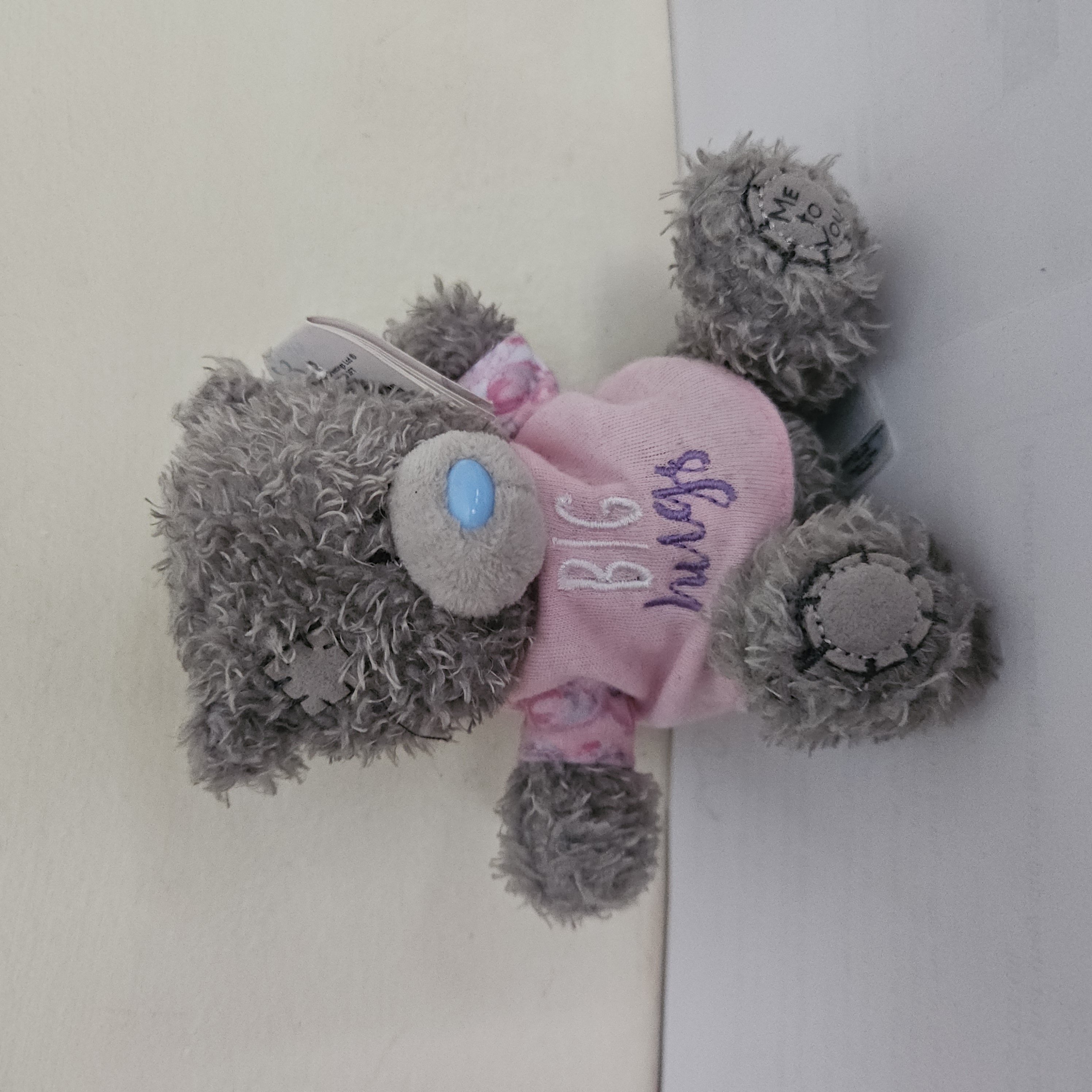 Megha Hugs Bear