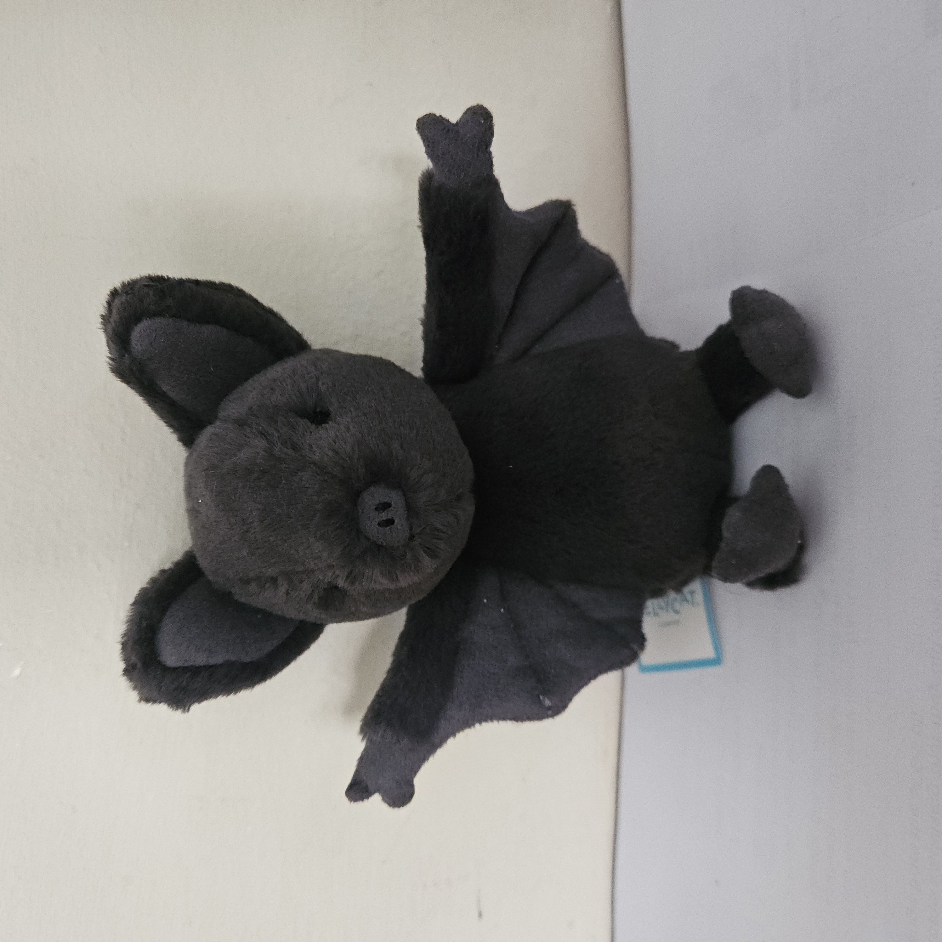 Ooky Bat